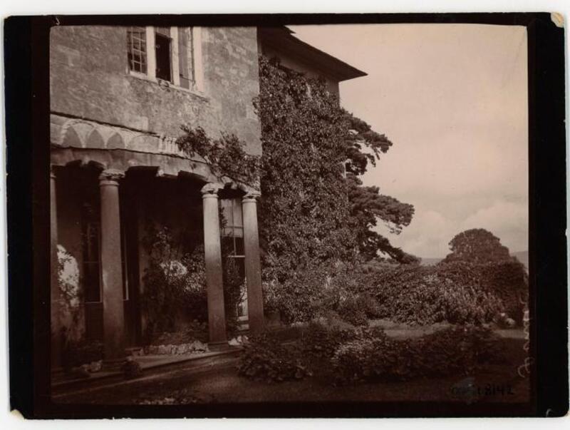 Photograph